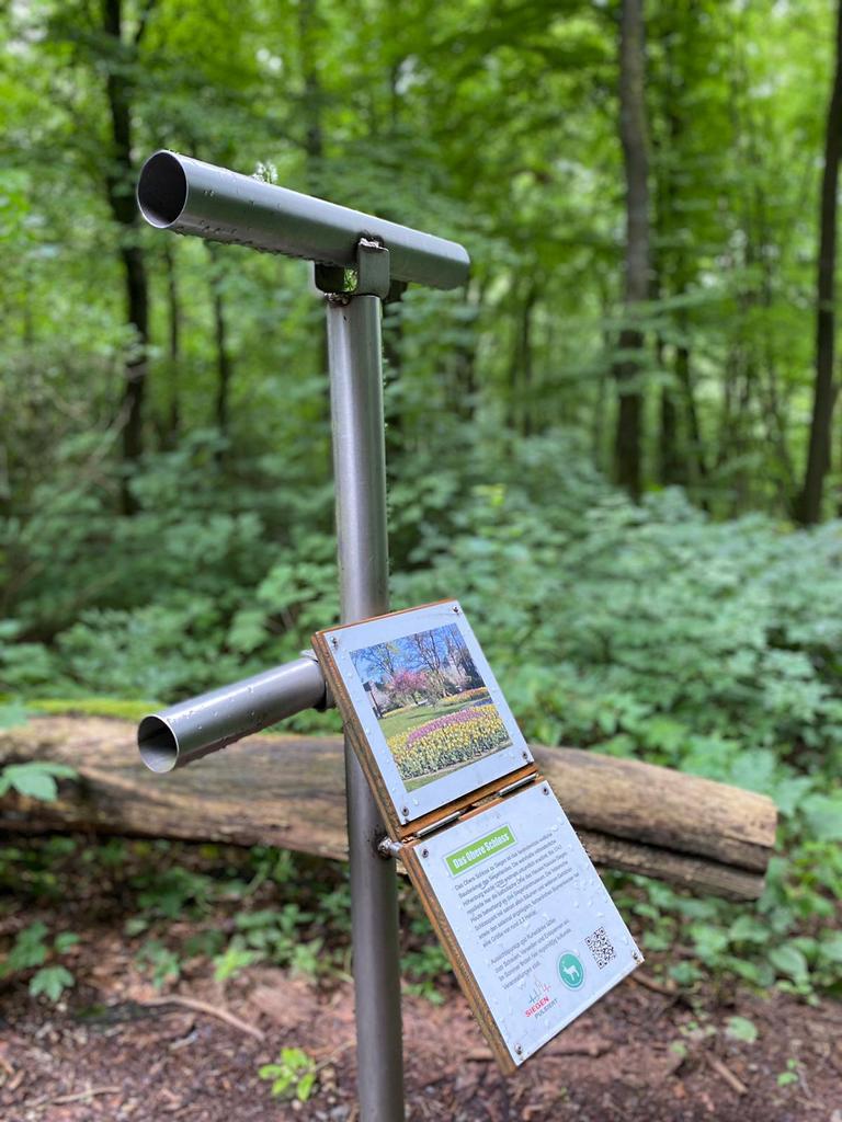 Erlebniswald Tiergarten in Siegen Ausflugsziel siegen mit Kids Familienzeit Freizeittipp