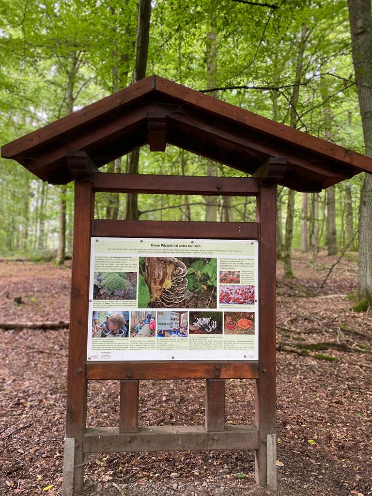 Erlebniswald Tiergarten in Siegen Ausflugsziel siegen mit Kids Familienzeit Freizeittipp